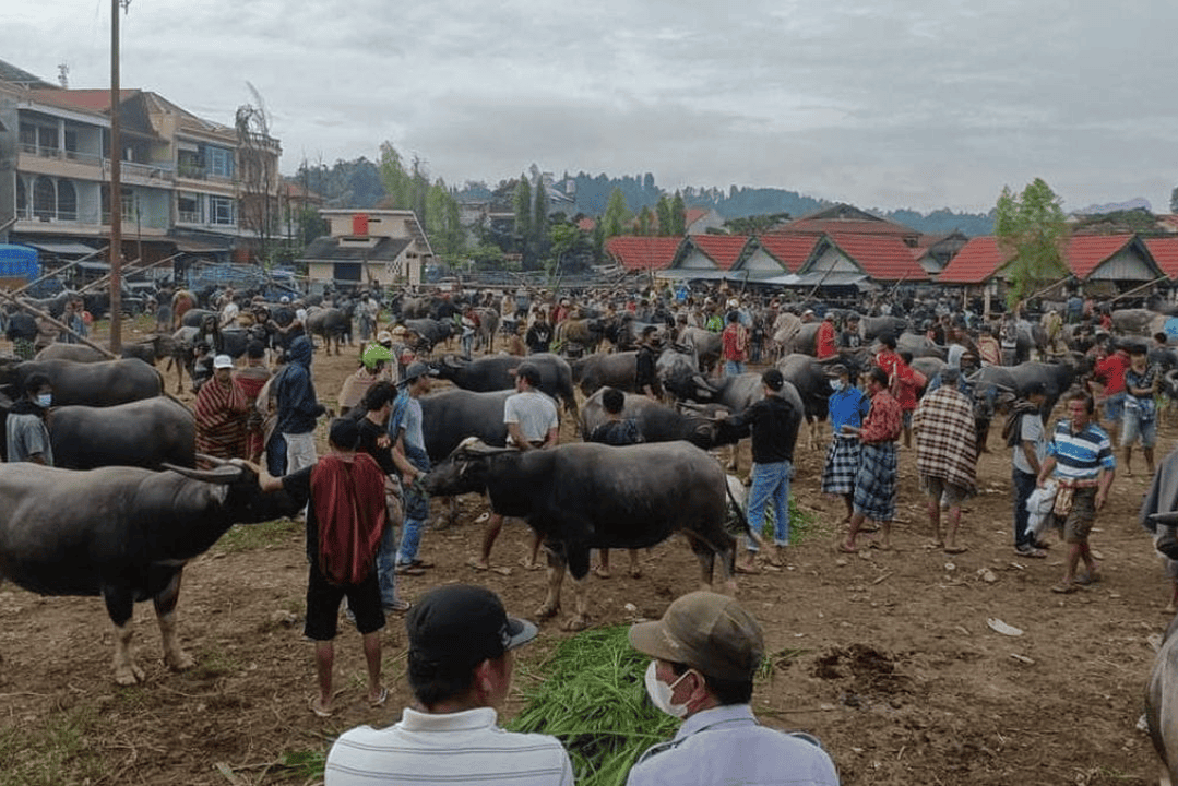 Bolu Market
