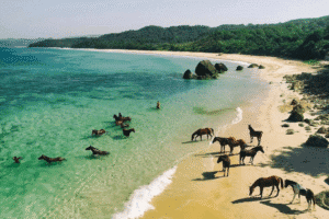 Sumba Indonesia (3)