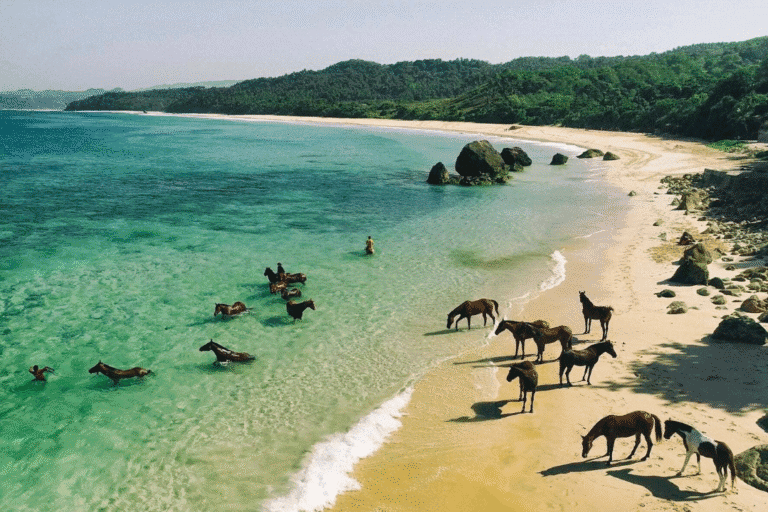 Sumba Indonesia (3)