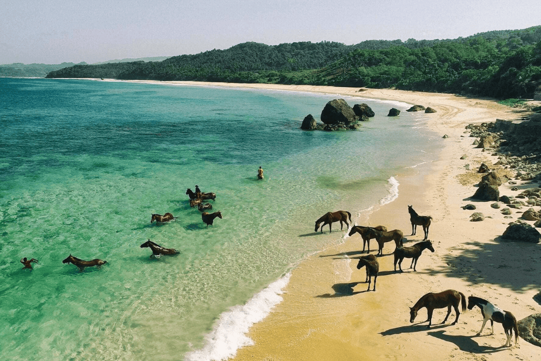 Sumba Indonesia (3)