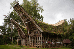 Tana Toraja - Indonesia Impression Tour