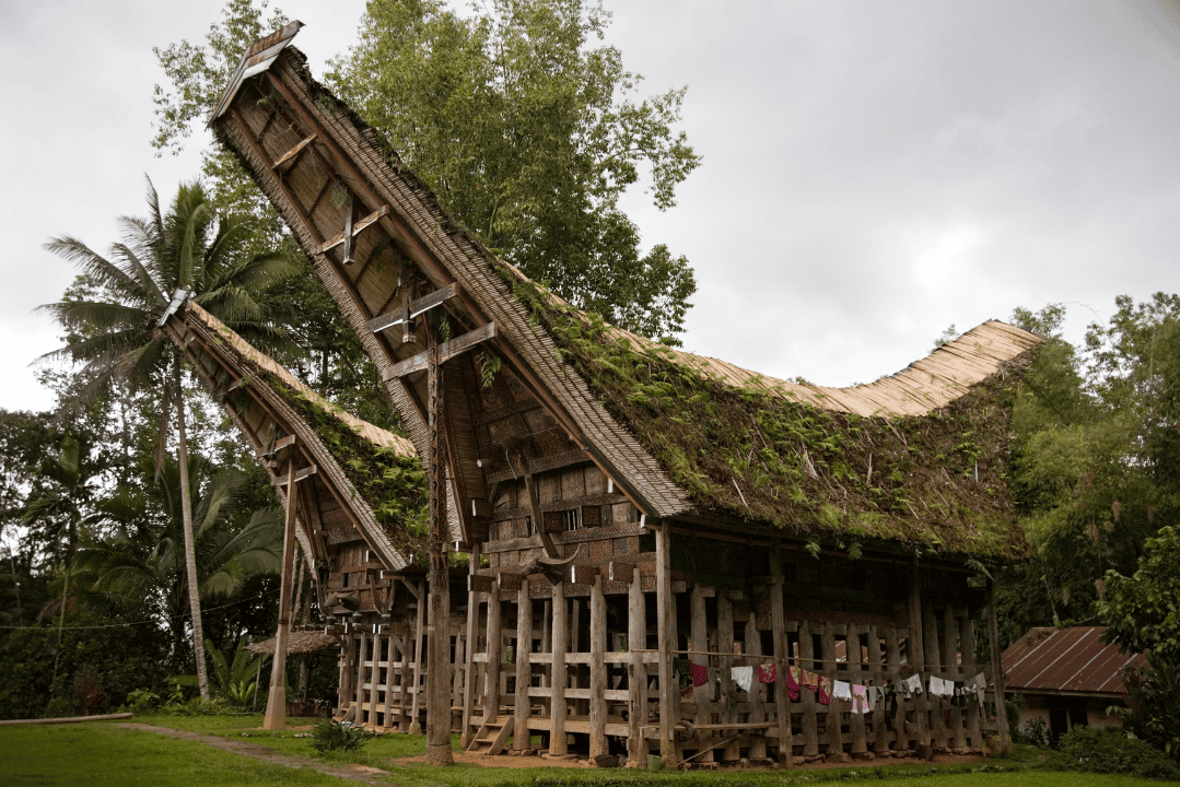 Tana Toraja - Indonesia Impression Tour