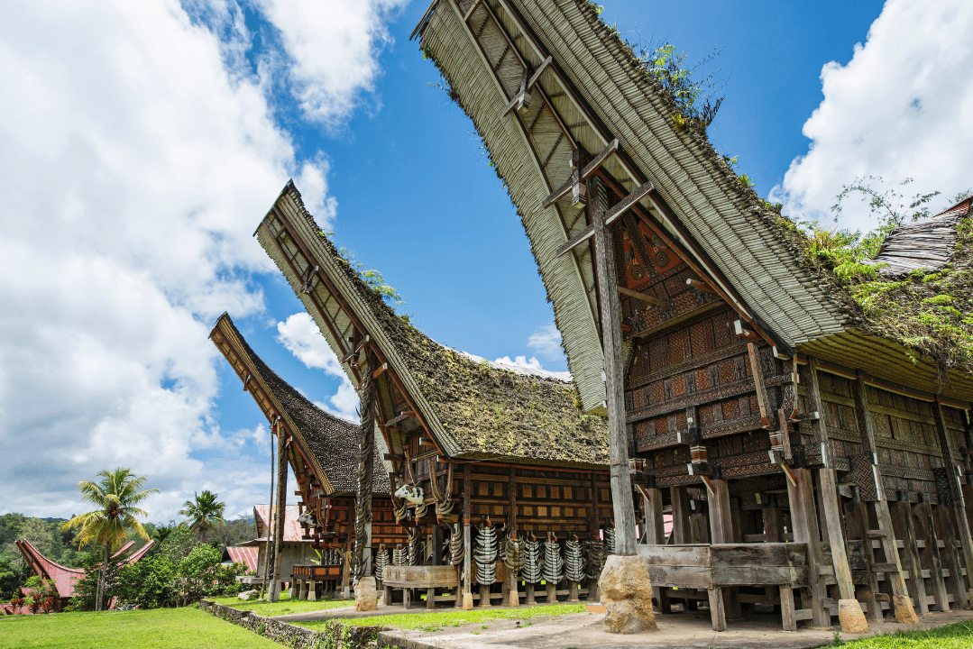 Tana Toraja