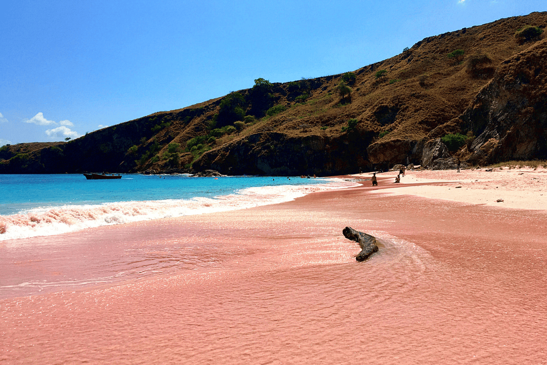 Komodo Island