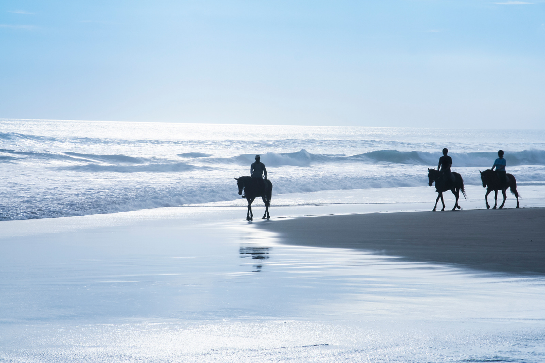 Bali horse riding