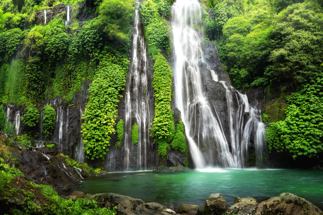 Jungle waterfall cascade in tropical rainforest. Banyumala Twin Waterfall In Bali Jungle